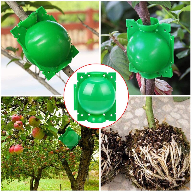 5/8CM Plant Rooting Ball Grafting Root Box 10/20Pcs Root Visible High Pressure Ball Breeding Growing Device For Garden Orchard