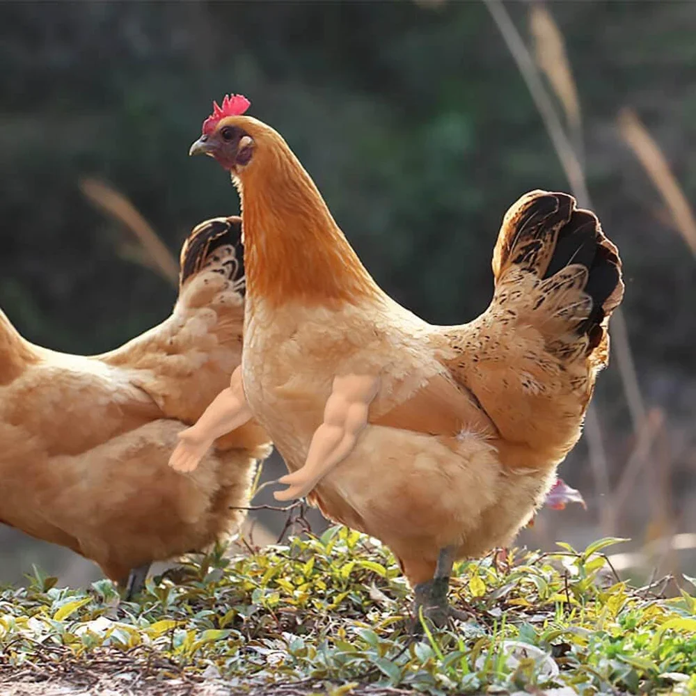 Bras de Musculation Artificiel Jetable pour Pigeon Poule, Jouets de ixà Thème pour Animaux de Compagnie, Accessoires de Gastronomie Amusants