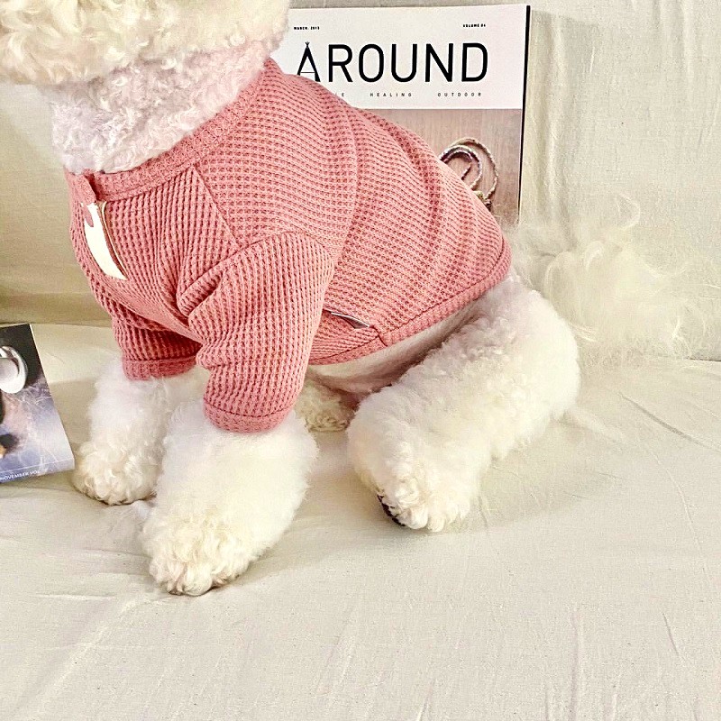 Autumn Winter Thin Warm Dog Pullover Solid Dog Hoodies Pet Vest Girls Dog Costume Chihuahua Bichon Clothing Letter Cat Dog Shirt: L / Blue