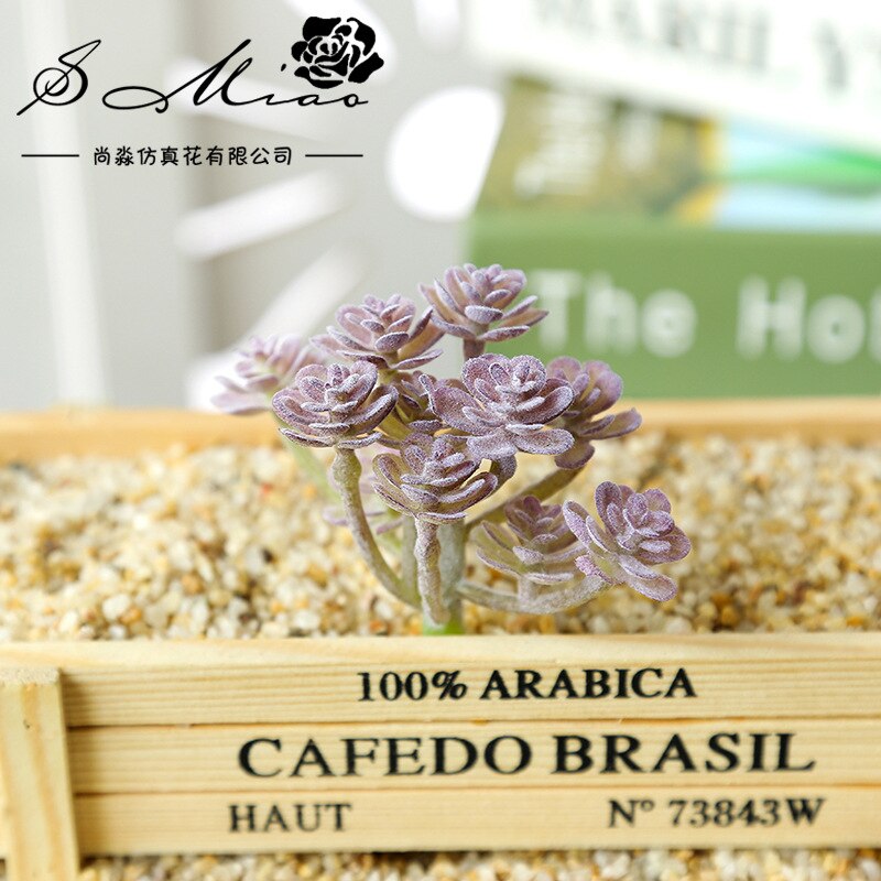 Sztuczna flokowana sukulenty DIY robić przydomowego ogrodu biuro dekoracje ślubne mini bonsai Plante wesele roślina dekoracyjna: xianrenke ZR purpurowy