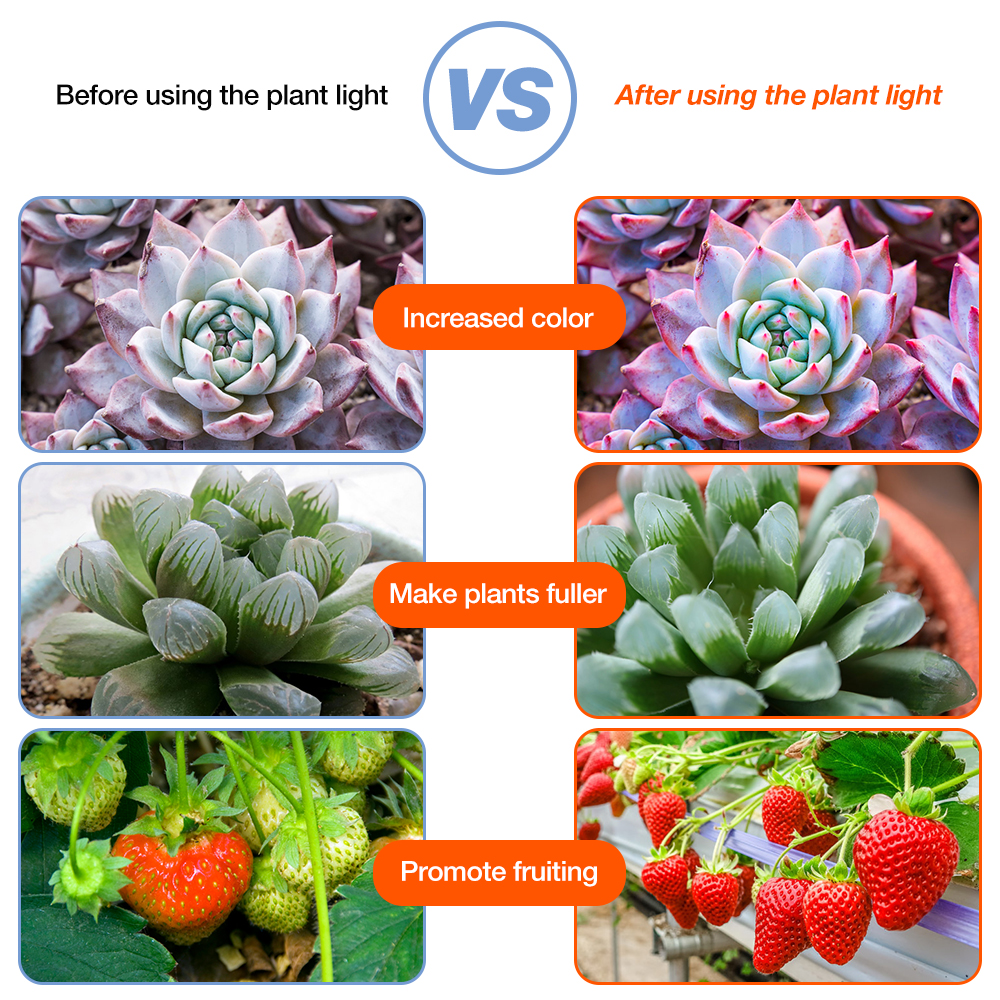 USB LED Wachsen Licht Gesamte Spektrum Phytolamp UV Hydrokultur Anlage Lampen Für Gewächshaus Blume Samen LED Phyto Wachstum Lichter Streifen