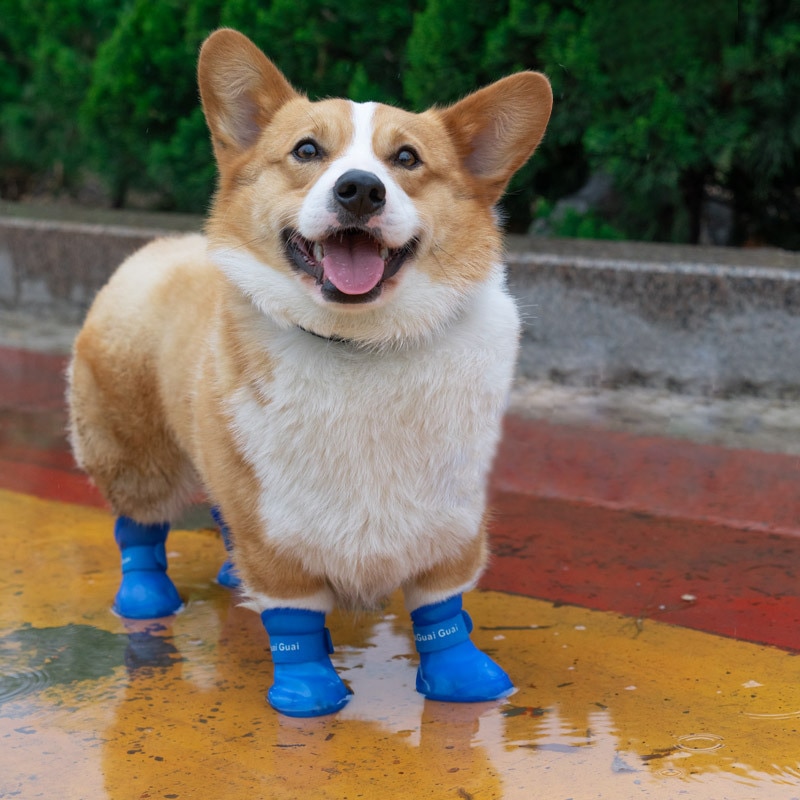 Hundesko silikone regnsko galoshes vinter sne sko til hund vandtætte støvler kæledyrsforsyning hundetilbehør