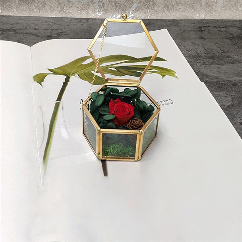 Geometrische sieradendoos van helder glas, sieradenhouder, trouwringhouder, ketting, armbanden, oorbellen, sieradenopslag