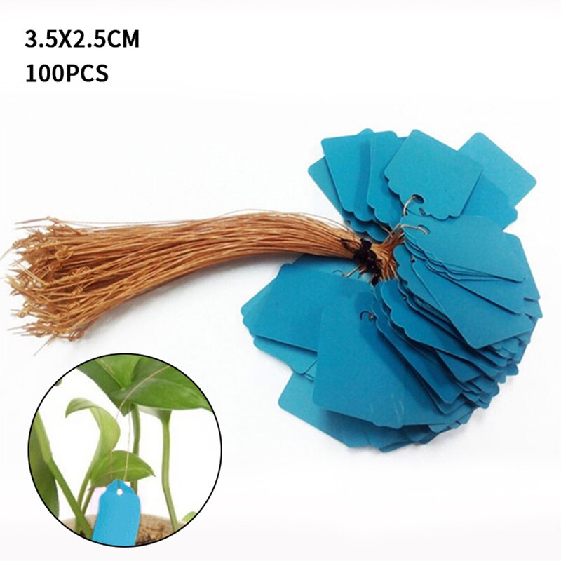Coloré Étiquettes De Plantes Pépinière Étiquette pendaison arbre Marqueurs semis plantent des arbres fruitiers signes rapide carte outil de classement: blue