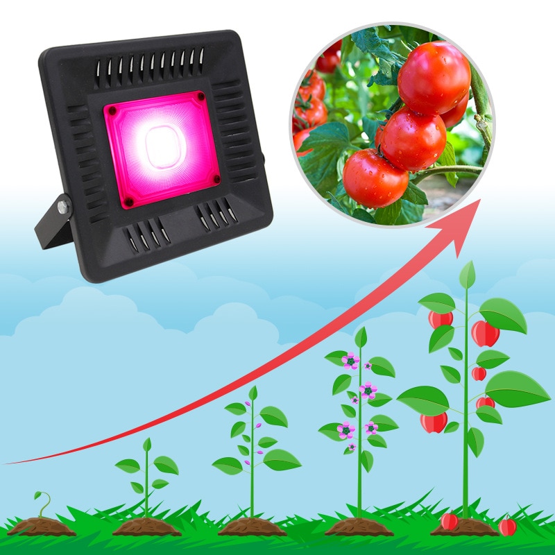 Volledig spectrum led kweeklamp waterdicht 100w 200w 300w cob groeilamp voor planten kweeklamp binnen hydrocultuurlamp 220v