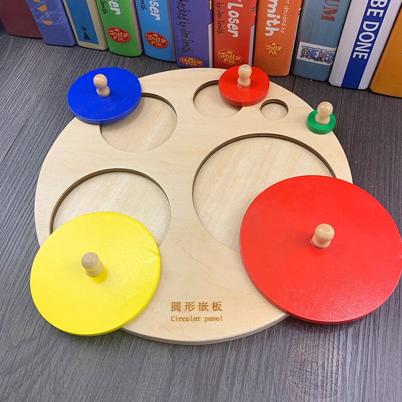 JaheerToy Baby Math Montessori Educational Toys for Children Color Classification Wooden Kids Boys: Circular