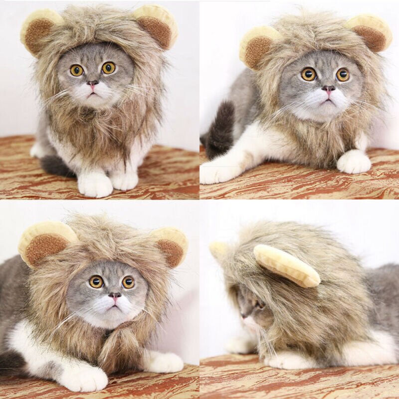 Chapeau crinière de Lion pour animal de compagnie, chapeau pour chien et chat, amusant et , adapté pour l'hiver