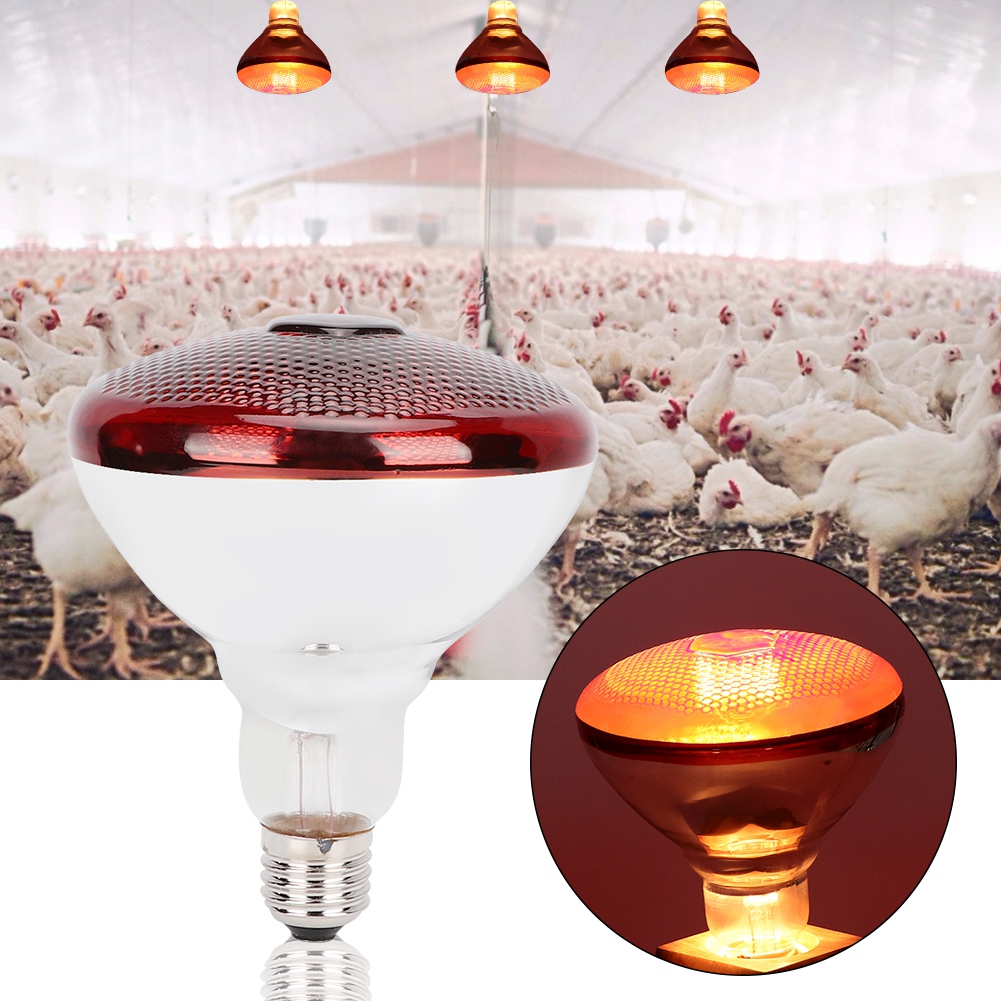 E27 warmtelamp voor het behoud van warmte, thermische lamp, rode infrarood, korte golf, boerderijvarken, warmtelamp voor varkens, dikker broedmachine 240v 245w