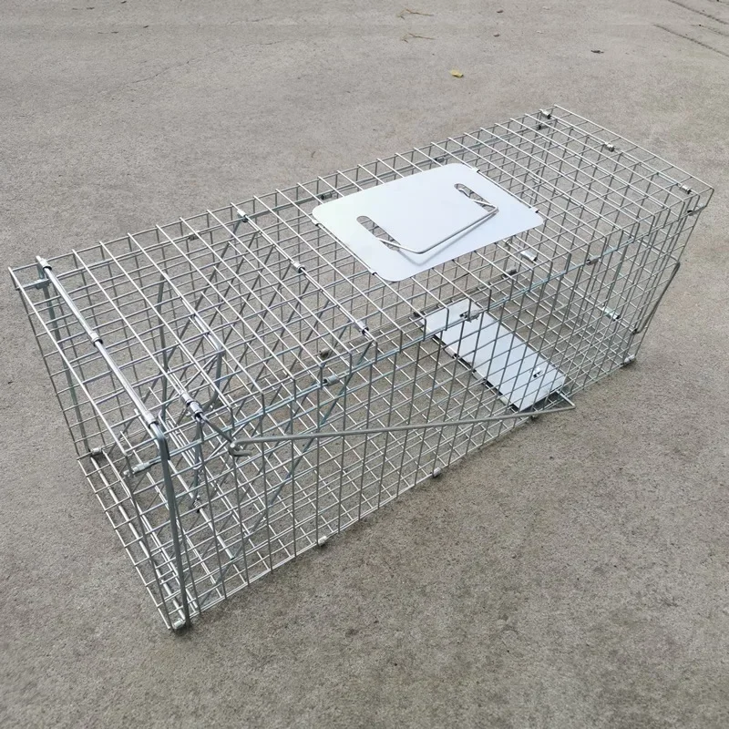 Foldable Reusable Humane Live Animal Trap for Small Dogs Raccoons Cats Groundhogs Opossums Fox Super Large 1-Door Mousetrap