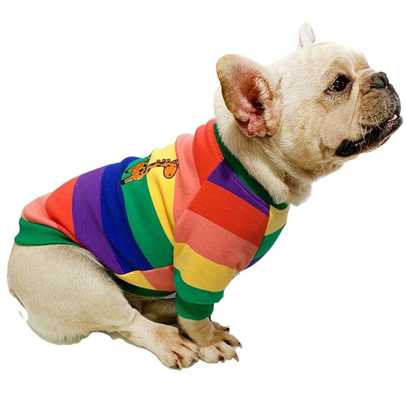 Kissa pentu koira huppari pomeranian yorkshire villakoira bichon snautseri mopsi vaatteet ranskanbulldogin vaatteet corgi puku lemmikkiasu