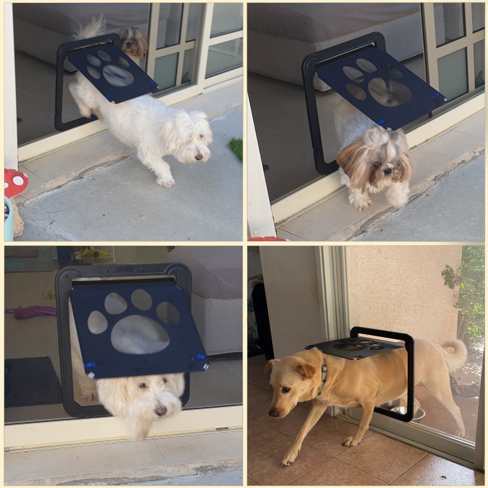 Dog Magnet Display Rack Window Gate House Lockable Magnetic Screen Enter F... – Grandado