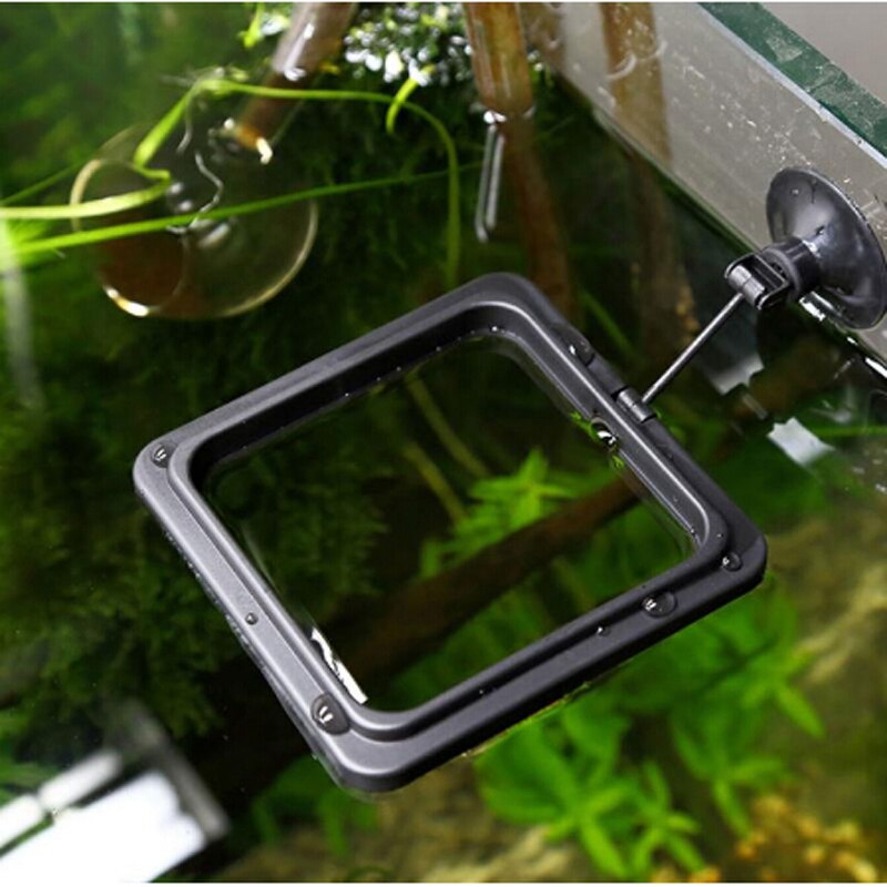 Anillo de alimentación para acuario, alimentador circular de tanque de peces, bandeja de comida cuadrada/redonda, para mantener la comida en el área, Guppy, Goldfish Betta