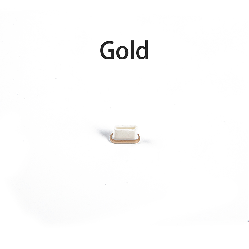 Protezione anti-polvere della copertura della porta USB delle colonna vertebrale con la copertura di USB-C tappi anti-polvere Pluggy: Oro