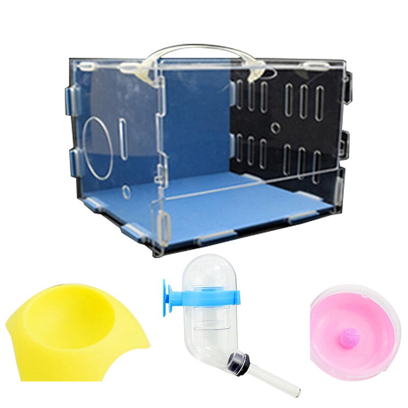 Hámster Habitat acrílico pequeño Pet Habitat jaula hámster Casa de estar caja transparente con alimentador Bol botella rueda: blue clear