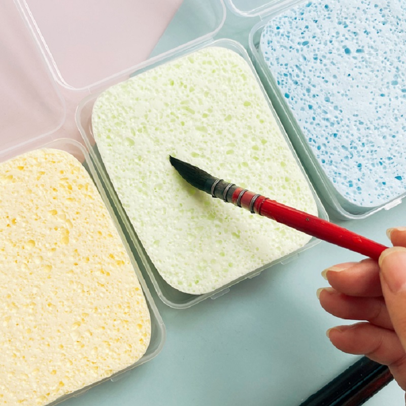 Esponja de cepillo de pintura de acuarela en caja, esponja de agua especial hidratante, fuerte absorción de agua, herramienta de limpieza, suministros de arte