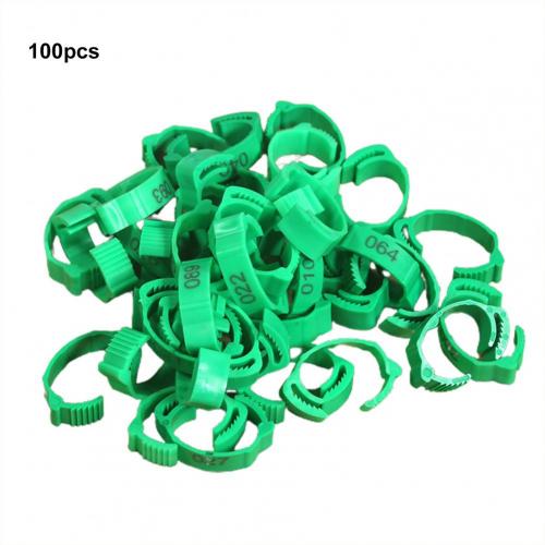 100Pcs Premium Textuur Kip Ring Slijtvaste Kip Been Bands Montage Maat Comfortabele Eend Kip Been Ring: Green