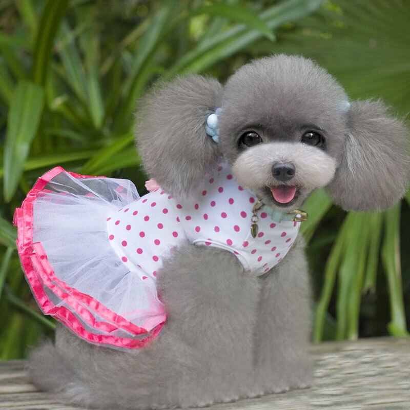 Chien cerise motif Style jupe gonflée chiot dentelle robe coton et maille matériel décontracté confortable Simple vêtements pour animaux de compagnie