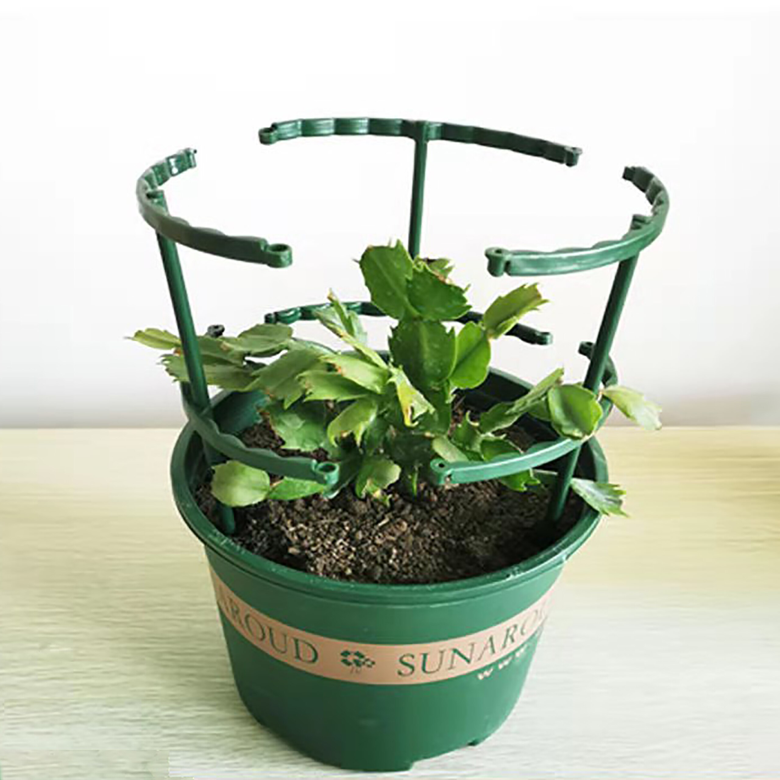 Puoliympyrän muotoinen muovikasvi kukkatuki kasateline puutarha kasvihuone hedelmätarha bonsai-asetelma kiinnitystangon pidike puutarhatyökalu