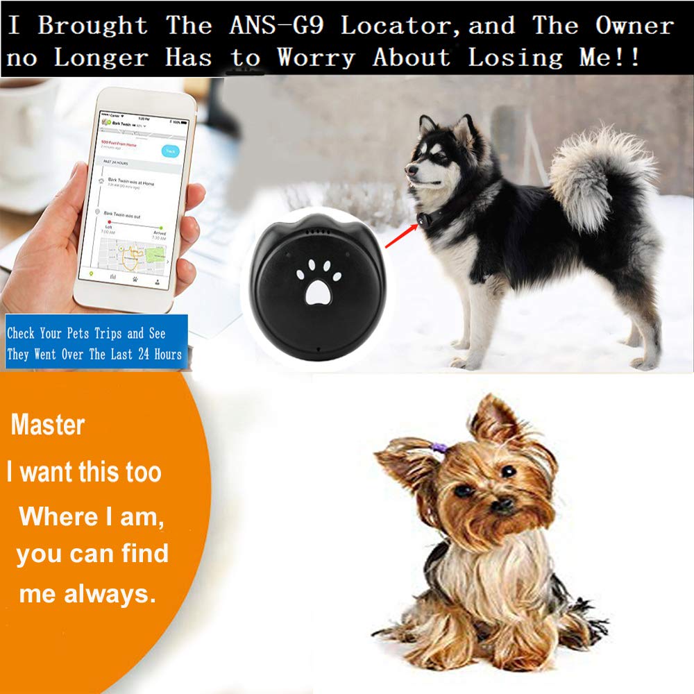 Smartlife GPS Huisdier Tracker & Activiteit Monitor Huisdieren & Rare Animal Searcher Locator Traject Tracking Alarm