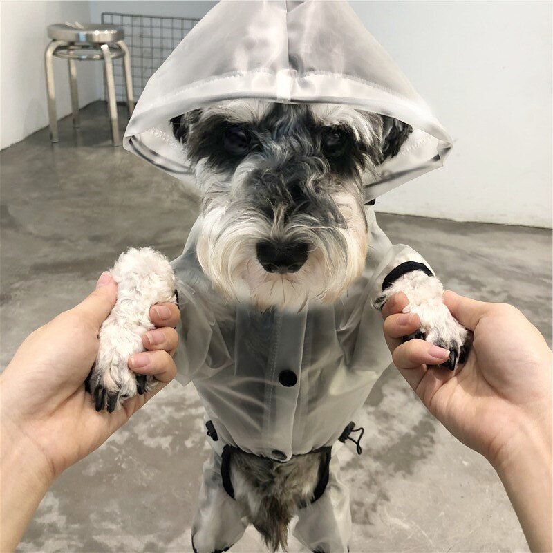 Transparent Dog Raincoat Waterproof Dog Clothes Jumpsuit Ran Jacket Pomeranian Poodle Bichon Schnauzer Clothing Rainwear Outfit