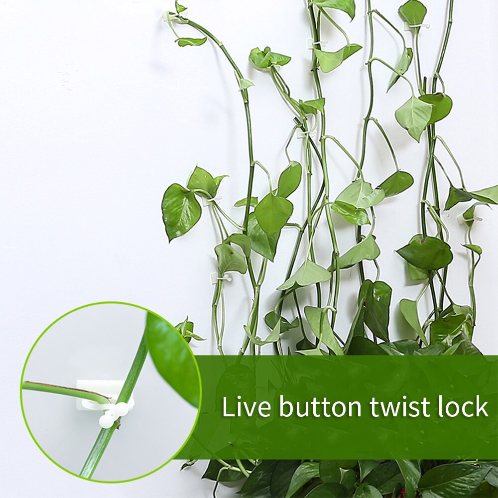 Fixation-planta verde de eneldo verde para escalada en pared, Cesta Verde para escalada de vid, colgante de pared, estereotipado para el hogar, 50 Uds.