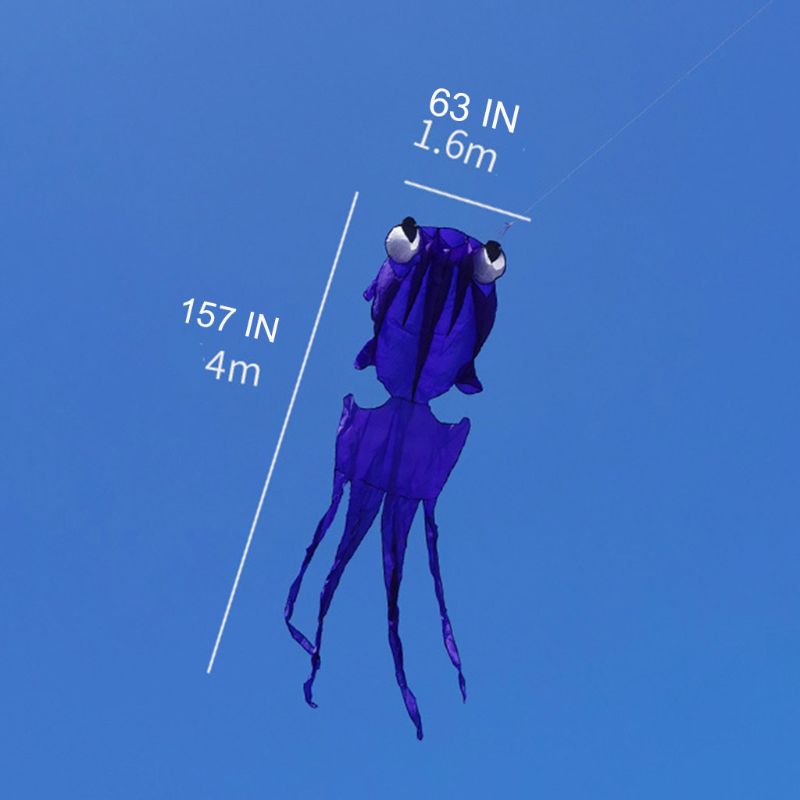 Goldfish Kite - Large Frameless Soft Parafoil - Family Outdoor Entertainment Sport