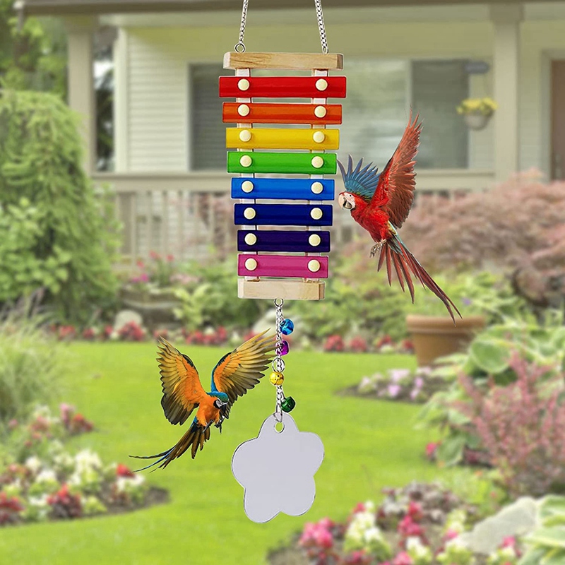 3Pcs Chicken Toys,Chicken Xylophone Toy Veggies Hanging Feeder,Mirror Toy Chicken Coop Accessories Chicken Toy for Hens