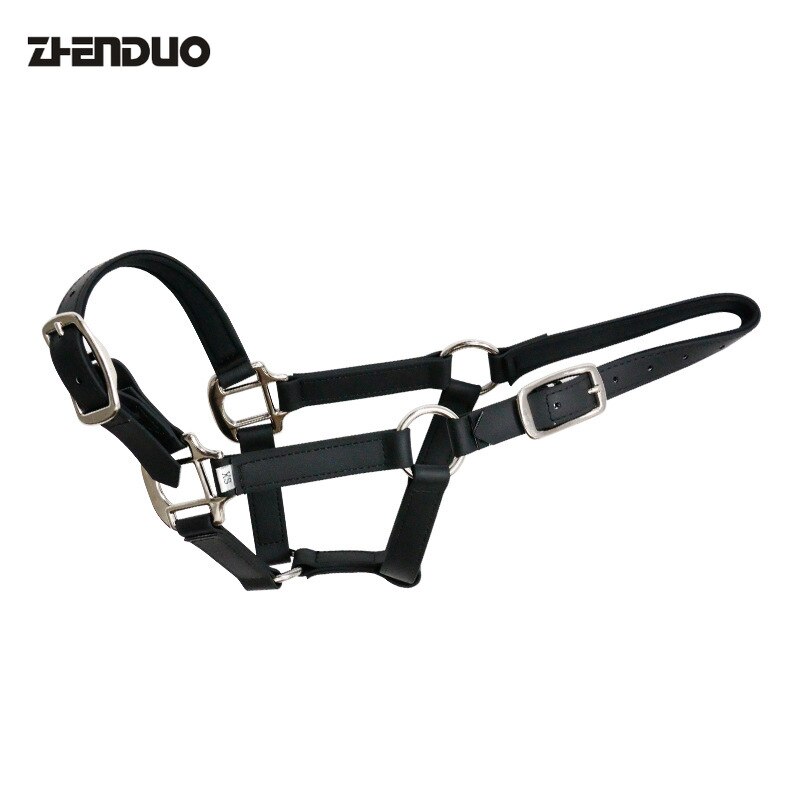 Imbracatura per cavalli