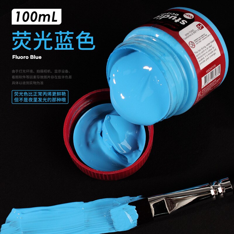 100ml Acrylic Paint Set Wall Painting Waterproof Paint DIY Fluorescent Metallic Color Art Supplies Beginner Hand Wall Paint: H