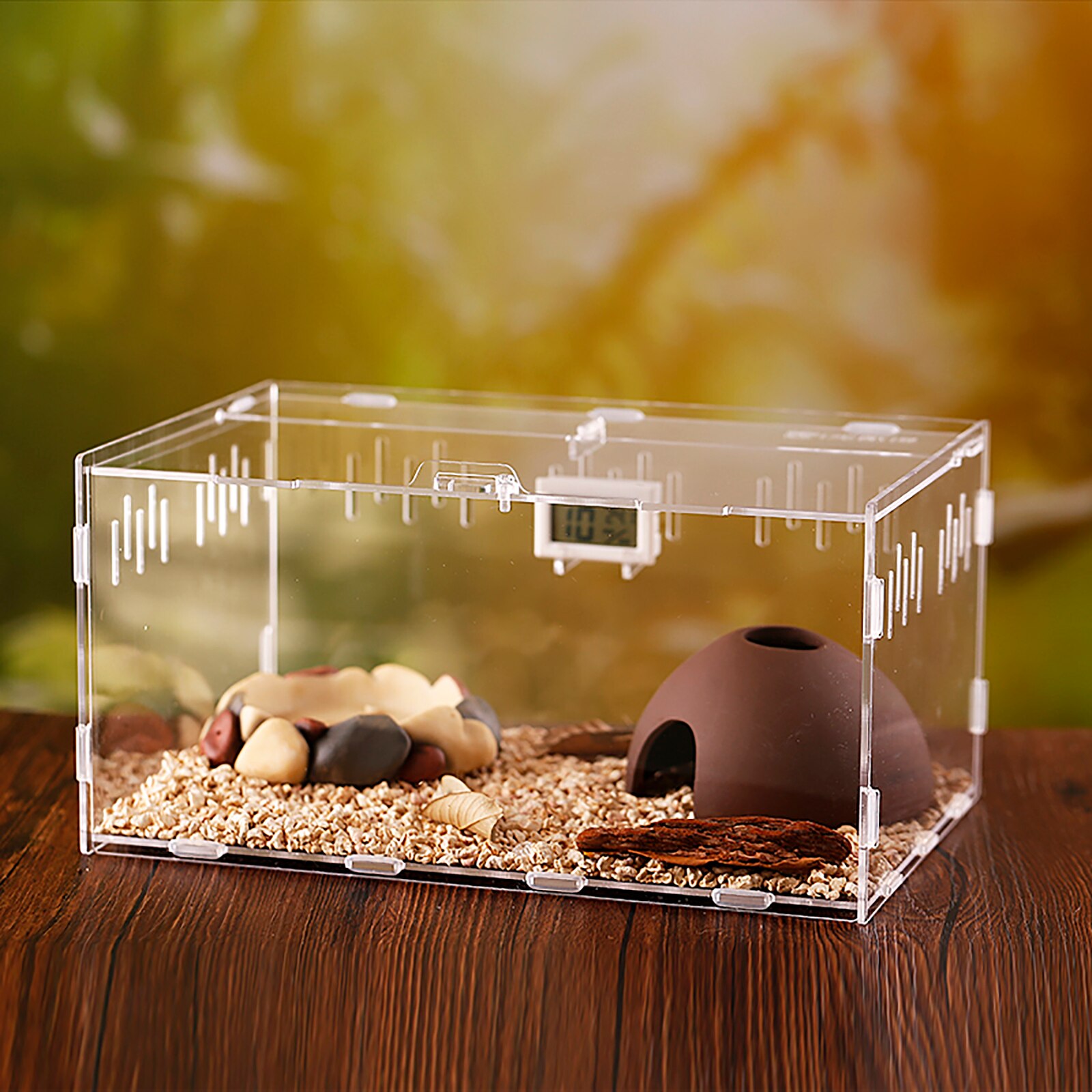 Spider Rearing Box Reptile Feeding Box Pet Climbing Terrarium Transparent Terrarium Translucent 4 Sizes Acrylic Feeding Box