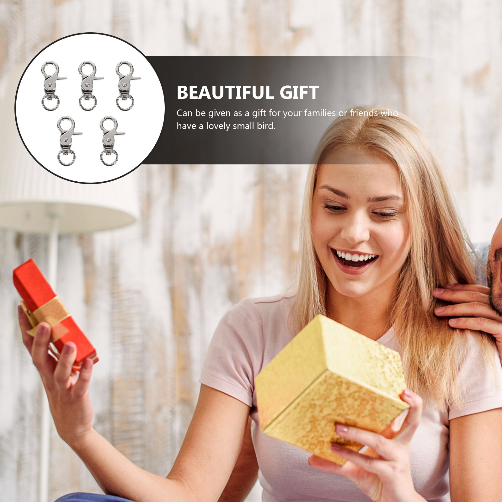 5Pcs Bird Cage Locks Lobster Clasp Door Lock Parrot Cage Safety Buckle Pet Cages Accessories