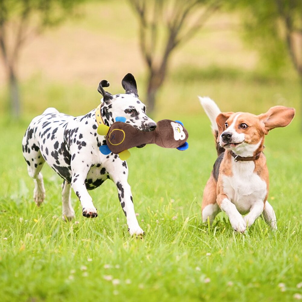 Huisdier hond kat grappig fleece duurzaamheid pluche hondenspeelgoed piepen kauwgeluid interactief speelgoed geschikt voor alle huisdieren lang pluche puppy speelgoed