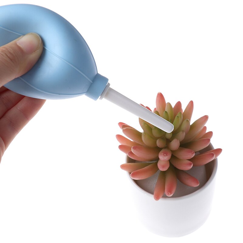 16 Pcs Succulent Planting Tools Gardening Supplies Garden Potted Tools