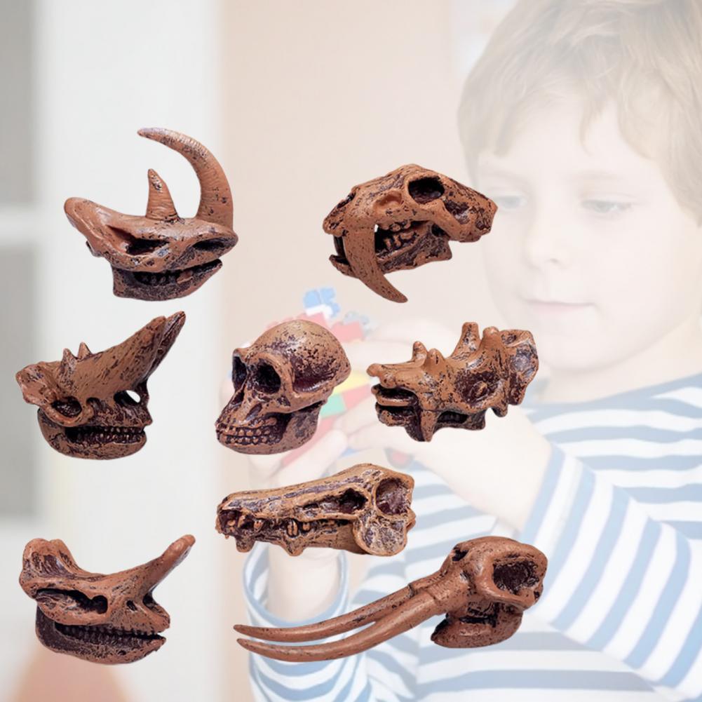 Dinosaurus Schedel Hoge Simulatie Aquarium Decor Plastic Fossiele Onderwijs Skelet Model Voor Verzamelaars Kid Volwassen Model Speelgoed