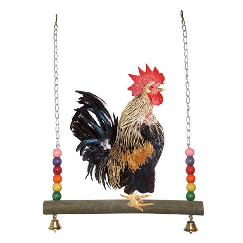 Columpio de madera para pollos, jaula hecha a mano para pájaros, loros, guacamayo, soporte de entrenamiento,