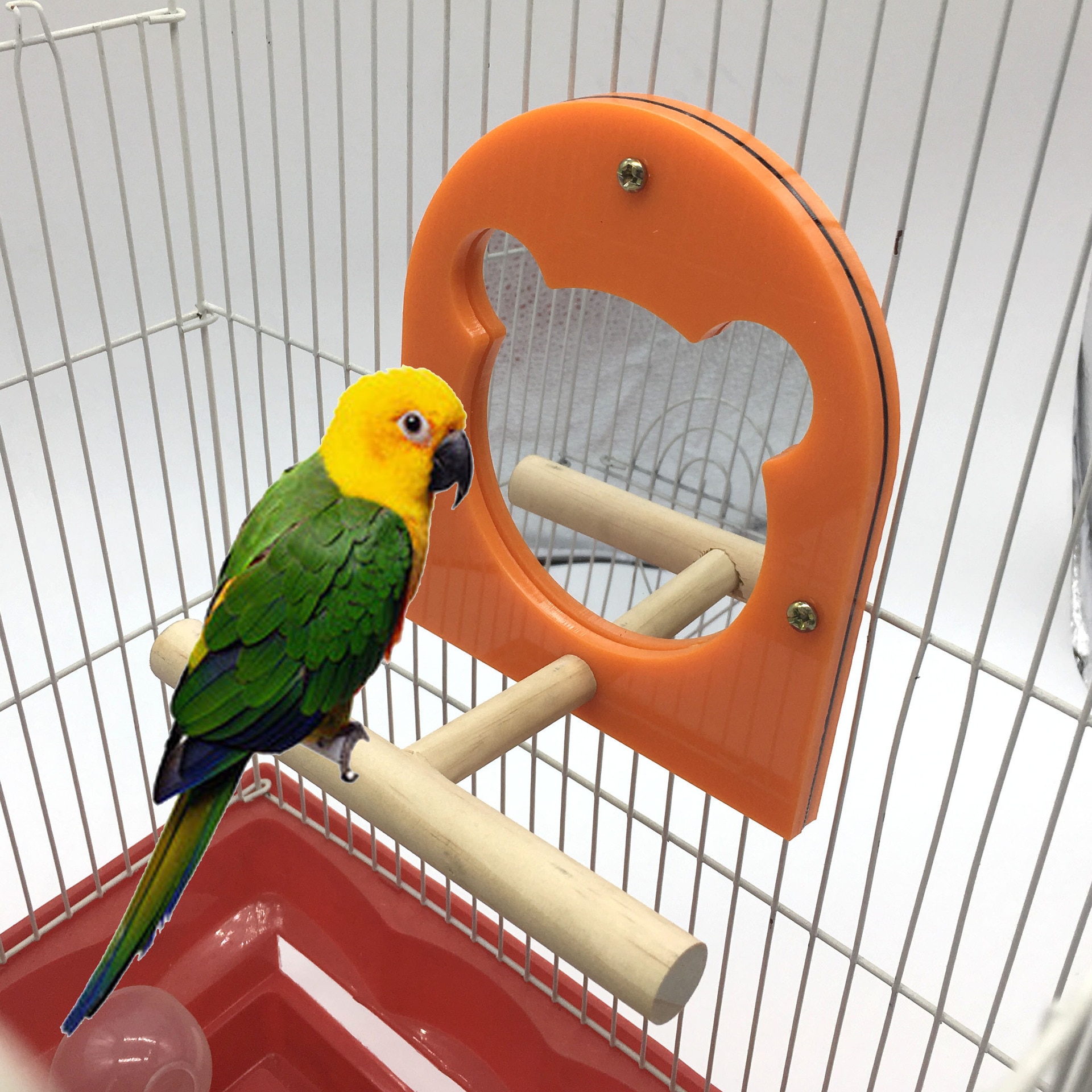 Parrot supplies Bird toys Stand training stand Chew toys Stand board Bird stand