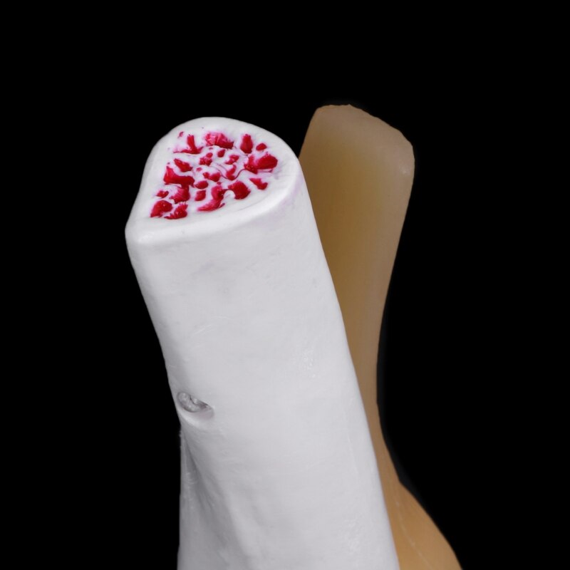 Modèle squelette Flexible d'articulation du genou anatomique humain aide à l'apprentissage anatomie