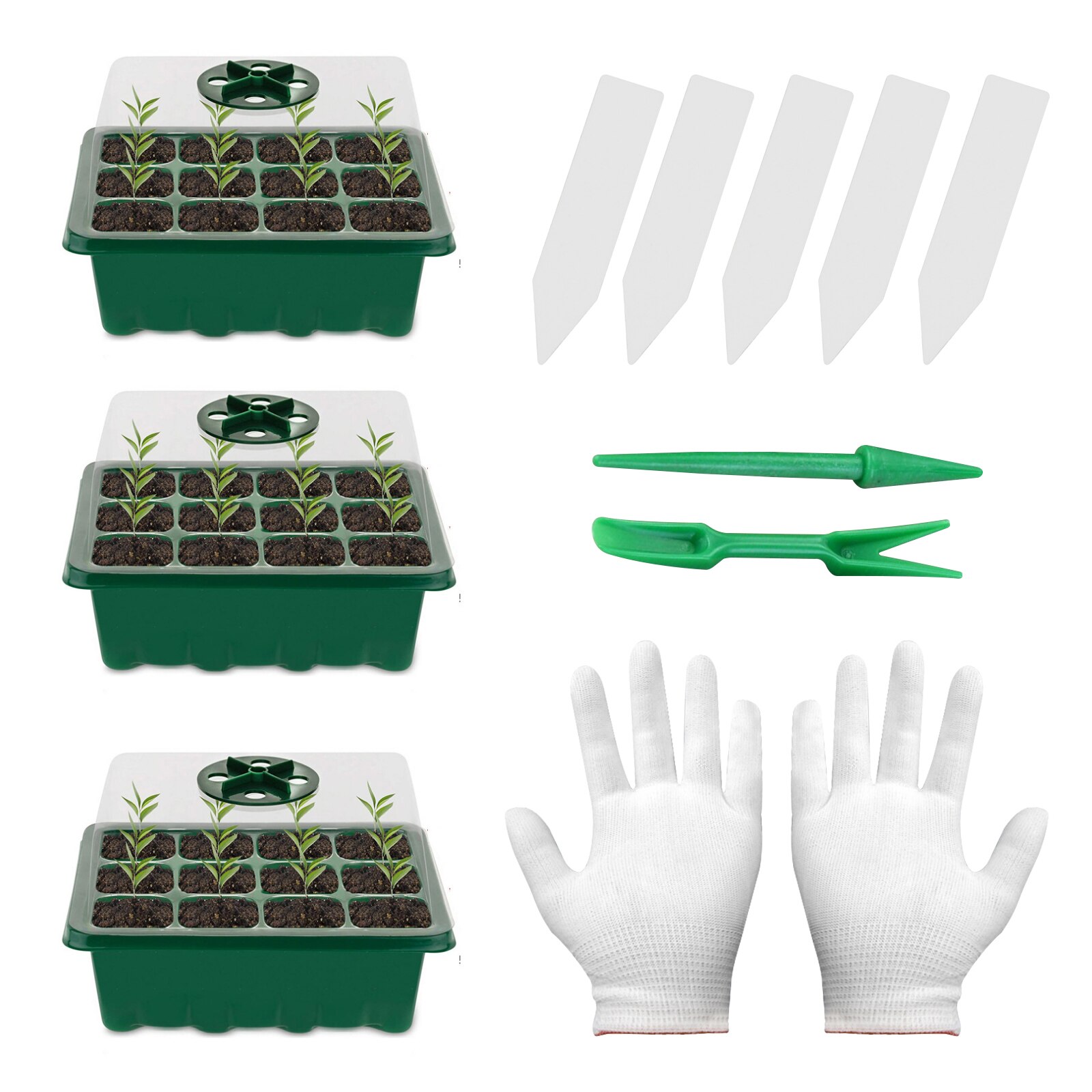 Seed Starter Tray Kit - 13 Cells Mini Propagator with Dome Greenhouse with Seedling Tools for Seeds Growing Starting: Type C