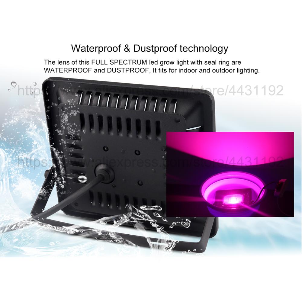 Borbede, 100W/200W/300W, luz LED para cultivo de espectro completo, lámpara para cultivo de plantas suculentas, focos de flores, luz para invernadero de interior