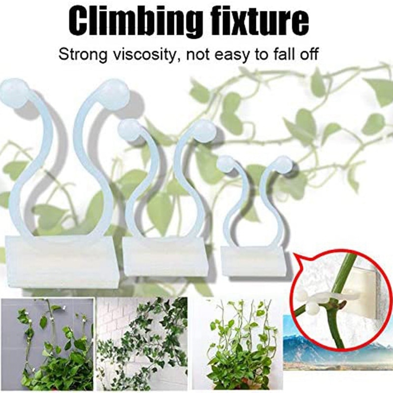 Clips de fixation murale pour plantes, 50 pièces, outils de fixation de vignes invisibles, pour maison, jardin, crochet collant au milieu