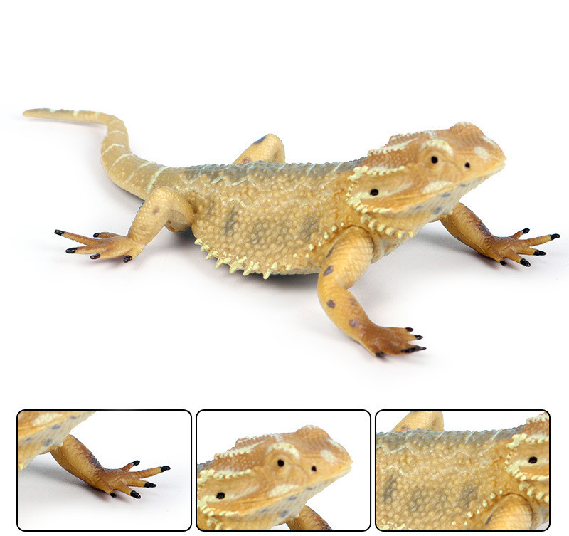 Lizard Figuur Simulatie Diermodel Collector Decor Amfibie Dier Model Hagedis Koelbloedige Reptiel Dieren Figuren