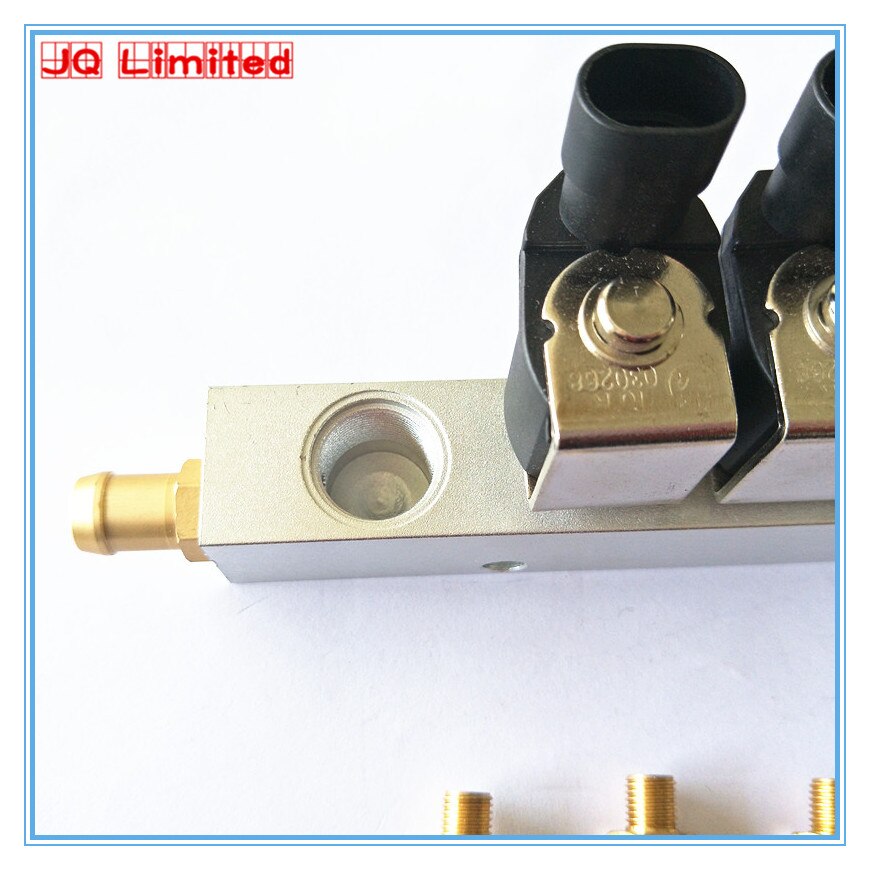 LPG CNG gas Rail Injector 2.8 OHM Common Injector Rail and accessories for BRC gas system