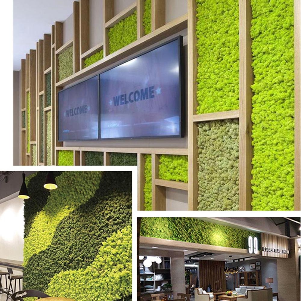 Preserved Moss Wall Decor Real Preserved Moss No Maintenance Required Naturally Preserved Moss Home Wall Party Festivals Crafts