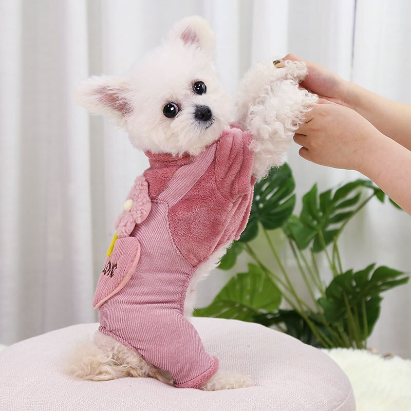 Ropa para perros, Otoño Invierno, abrigo cálido para perros pequeños, chaqueta para cachorros, traje, pantalones bonitos de amor con flores, mono para perros Chihuahua