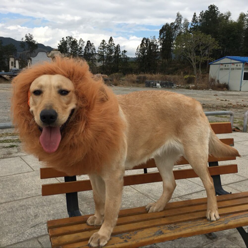 Lion perruques crinière cheveux grand chien chat Lion perruques Festival drôle chapeau déguisement vêtements Costume Lion crinière perruque mignon chapeau