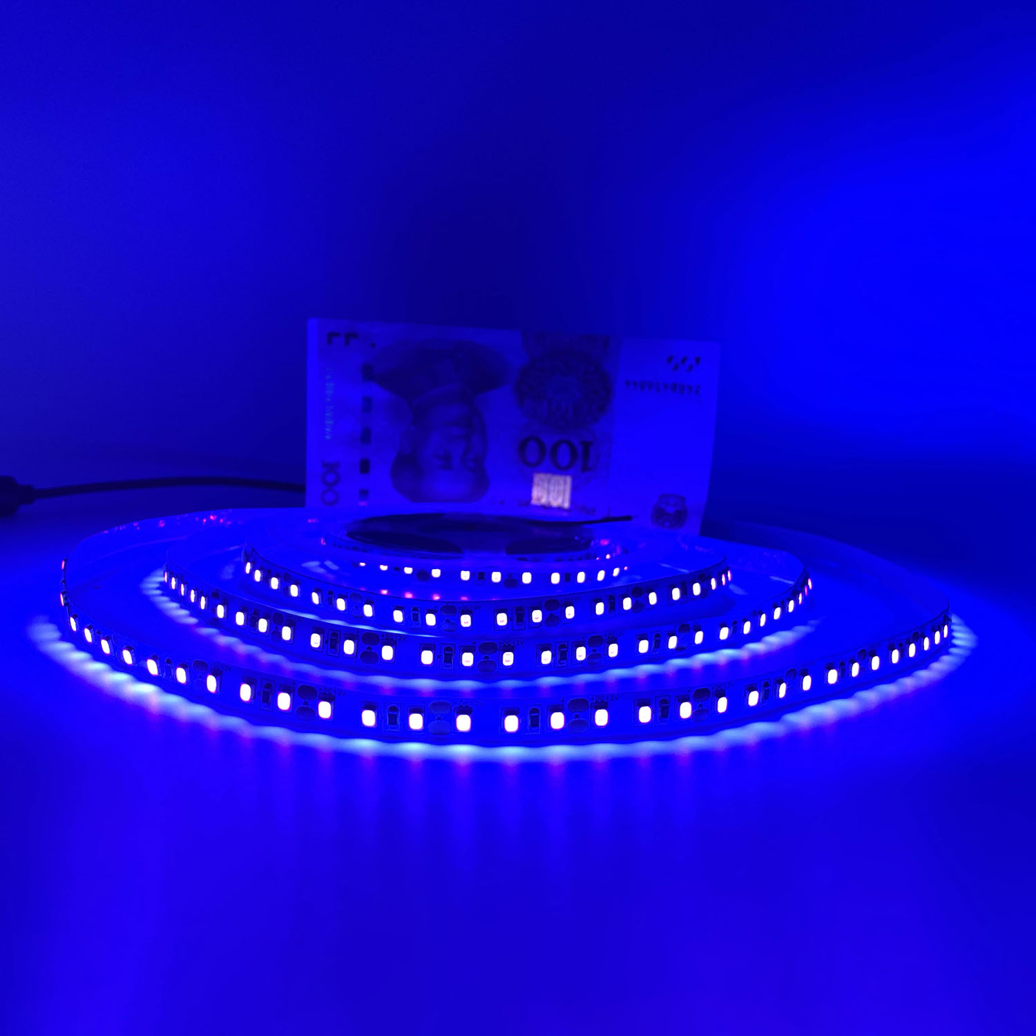 Tira de luces Led UV para , cinta de luz negra de 5V, 395-405nm, 12/24V, 5050, 2835, SMD, 60led/m, 120Led/m, para DJ y fluorescencia