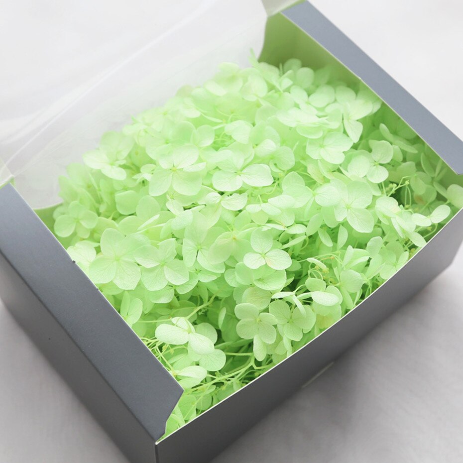 20g naturlige frisk hortensia tørket blomsterhode gjør-det-selv ekte evigblomstmateriale langtidskonservering falmer ikke: 11