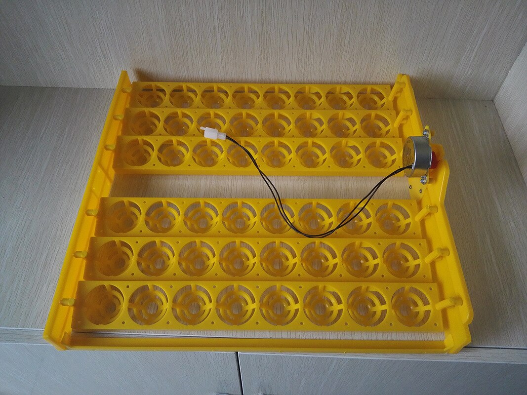 48 Automatic Hatching Machines, Egg Rolls, Chicken, Dove Quail and Egg Tray.