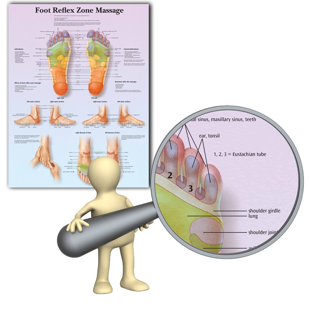 MARYSHARON Menselijk anatomie diagram menselijk lichaam onderwijs poster ziekenhuis diagram decoratie thuis canvas spier anatomie diagram A0 30x45 cm zonder frame