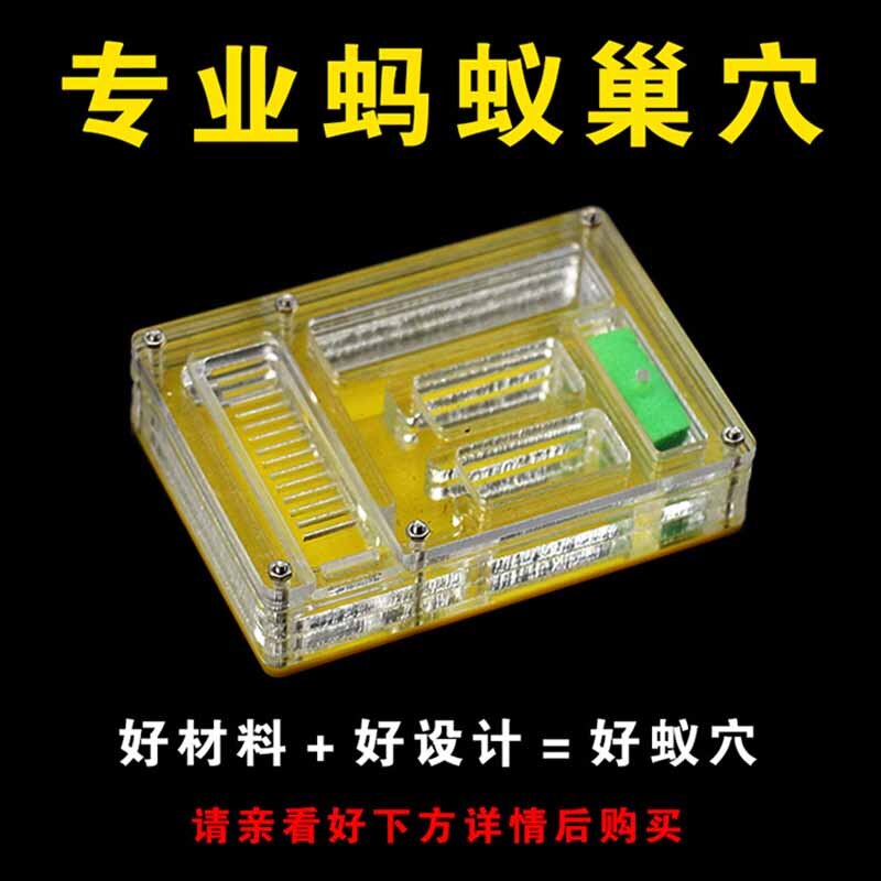 Acrylic Ant Farm Pet Breeding Box Insect Supplies Reptile Terrarium for Pet Lovers